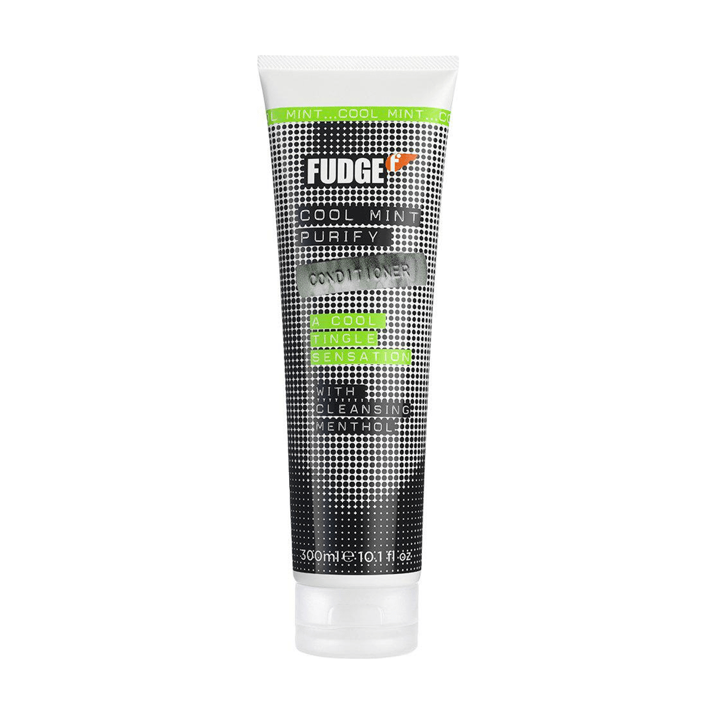 Fudge Conditioner 300ml Cool Mint Purify | Head2Toes Beauty Store UAE