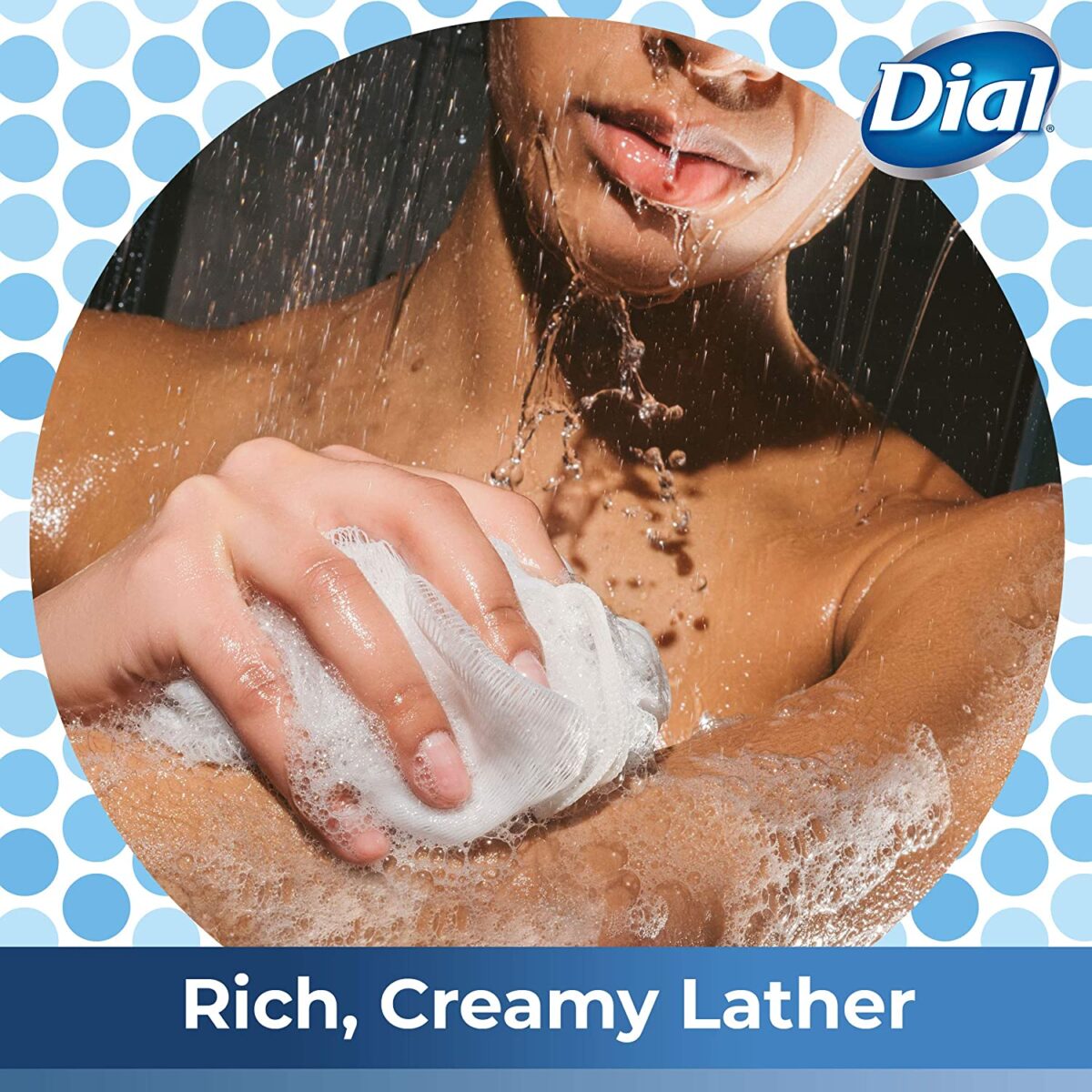 Dial Body Wash 621ml Omega Moisture