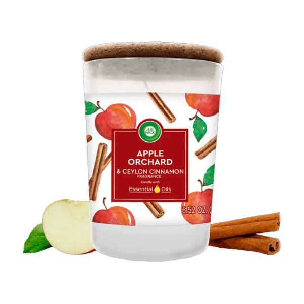 Air Wick Candle 185g Spiced Cinnamon and Apple